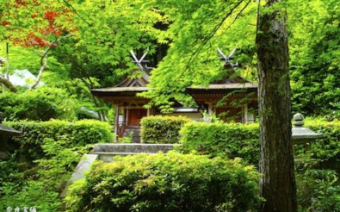 日本神社与佛寺的分工合作 案内君